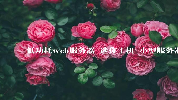 低功耗web服务器 迷你主机 小型服务器 求推荐？