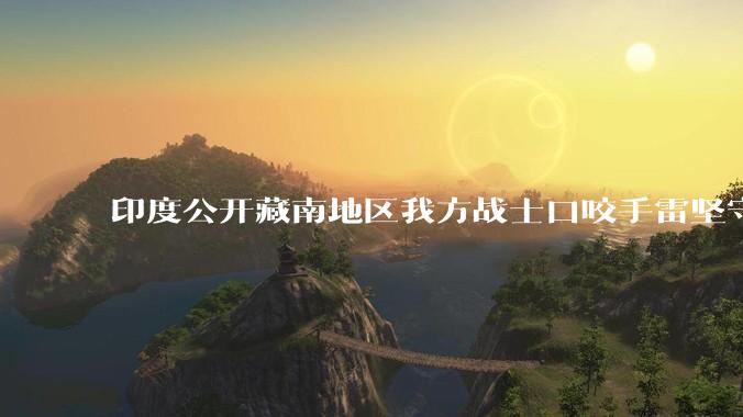 印度公开藏南地区我方战士口咬手雷坚守的***，是想表达什么？