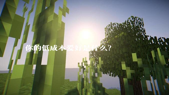 你的低成本爱好是什么？