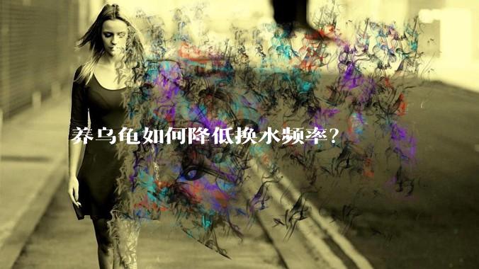养乌龟如何降低换水频率？