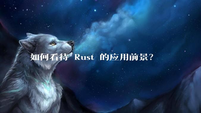 如何看待 Rust 的应用前景？